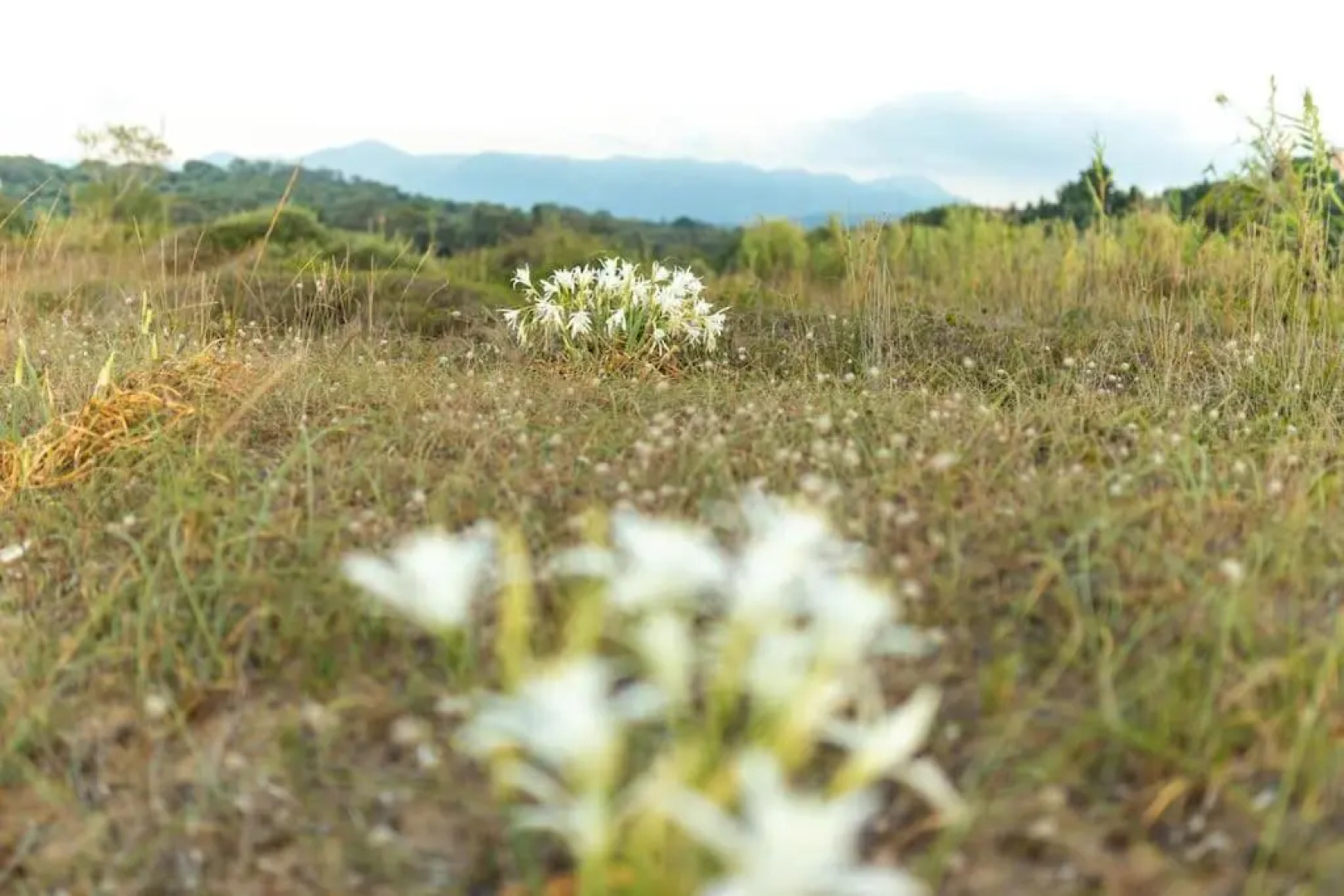 Blue wave Beach appartment I 100m from the Beach