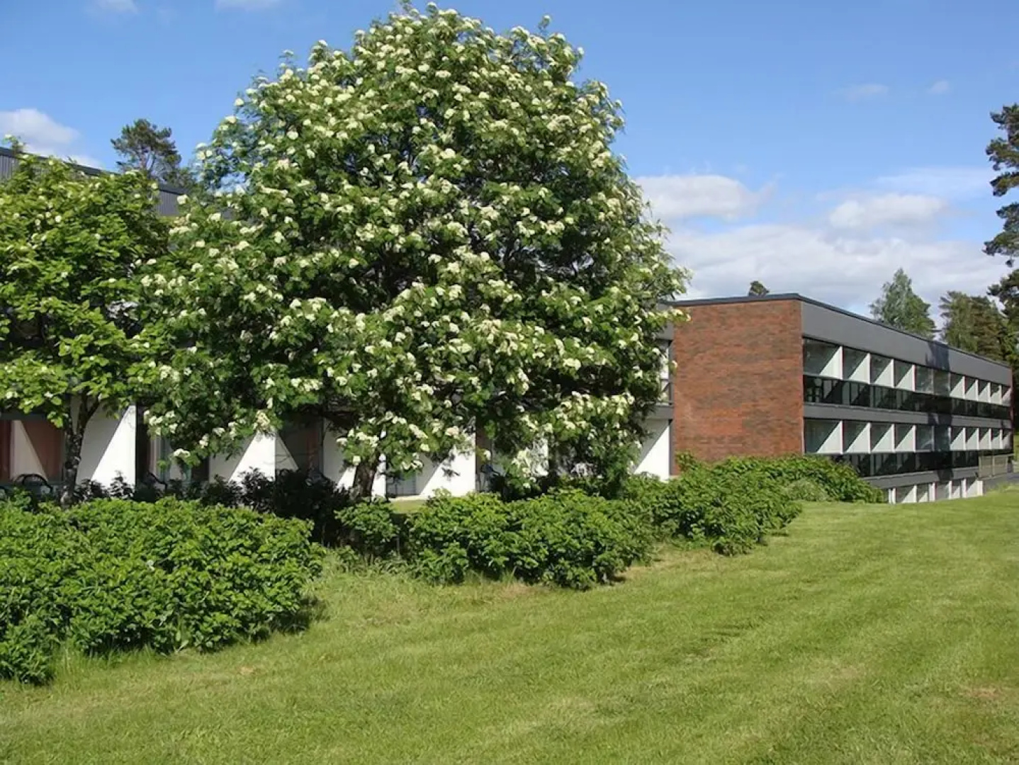 Hotel Tallukka