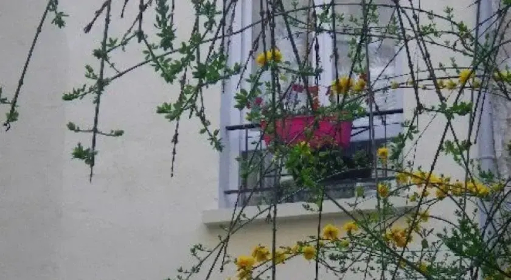 Les Gîtes du Centre