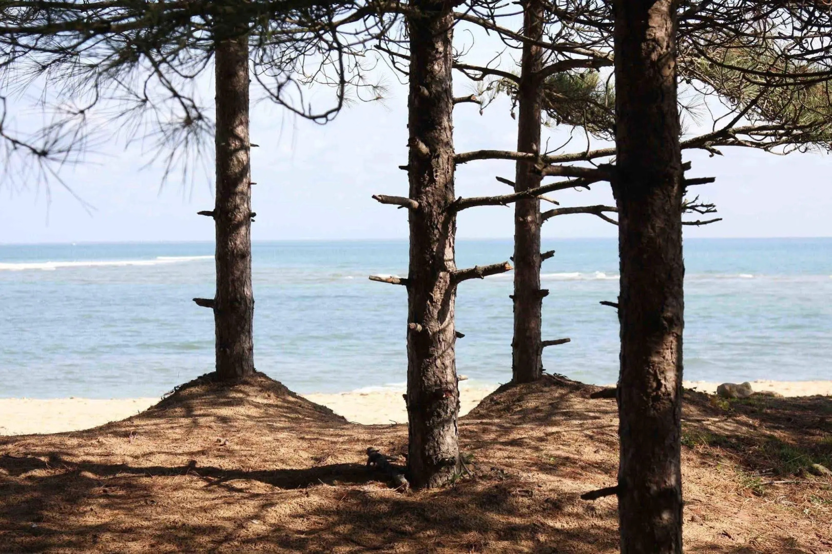 Hôtel Le Vieux Gréement