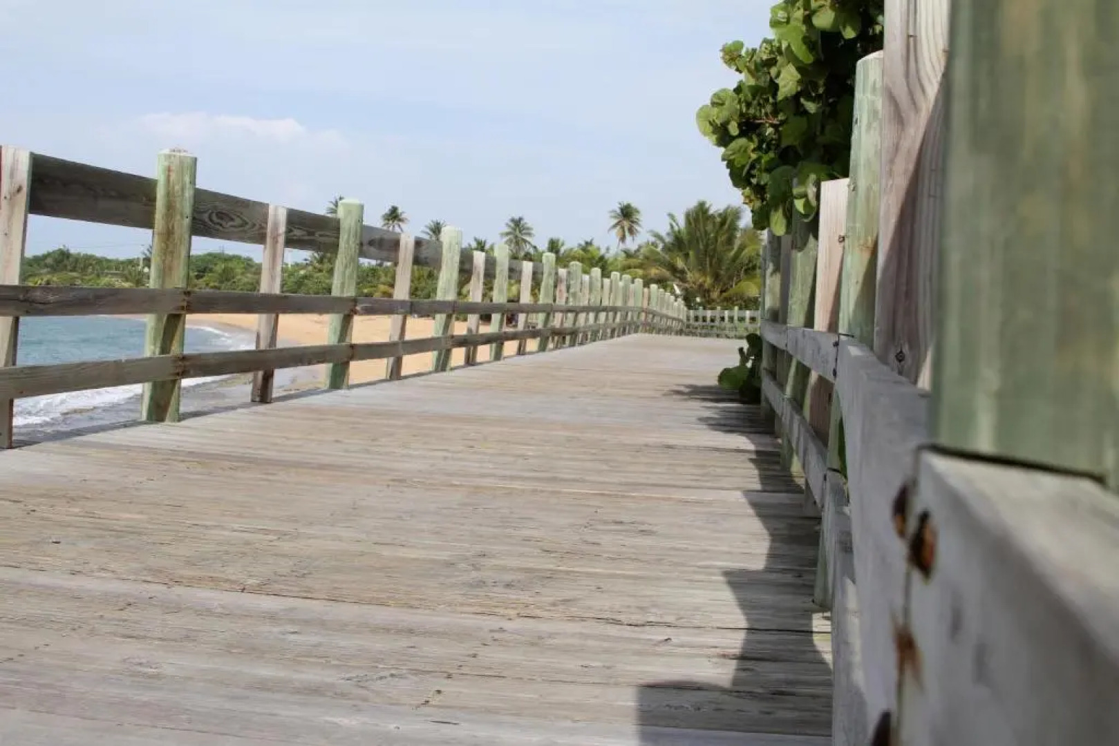 The Beach Guesthouse