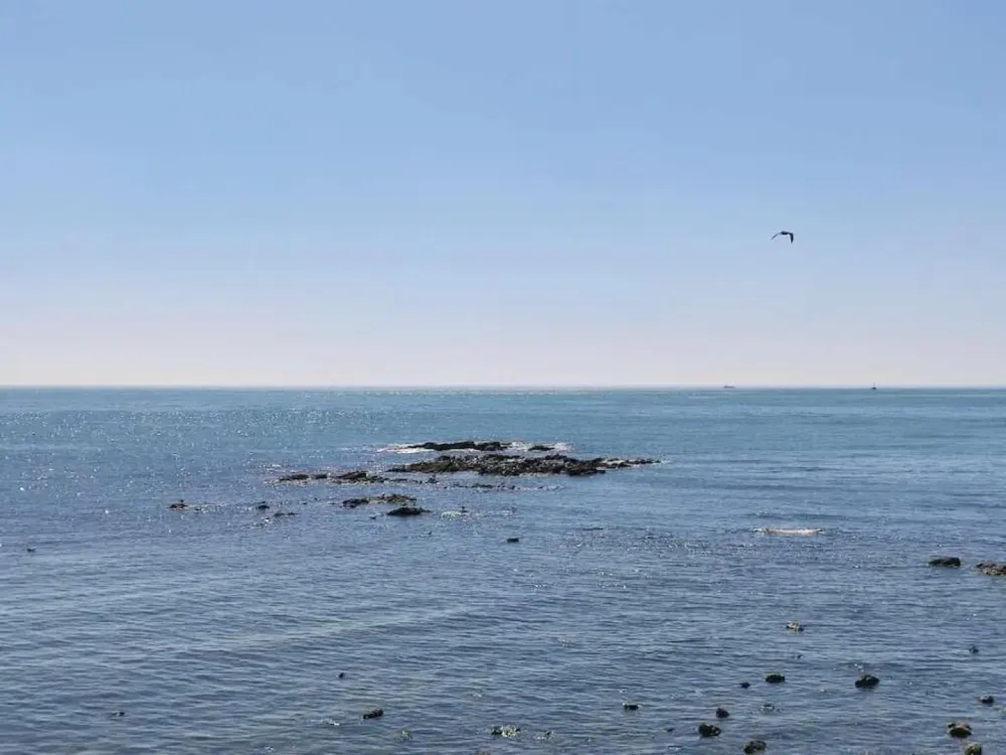 Amazing Koala Hostel Dalian