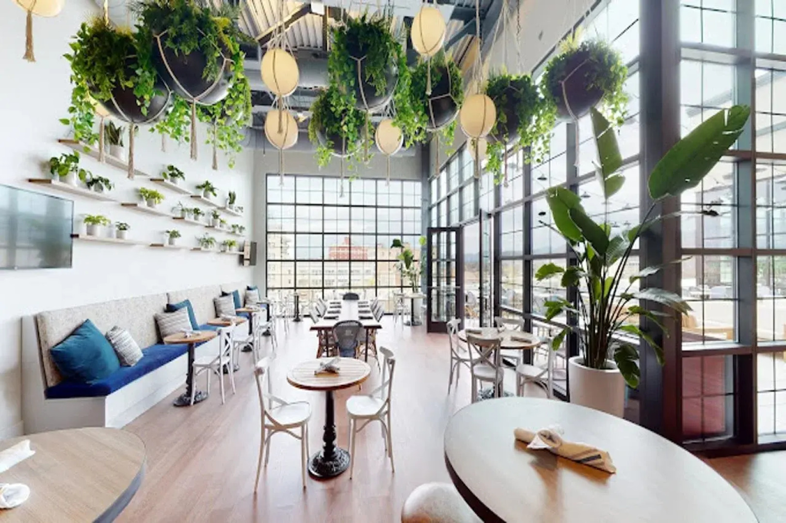 The Restoration Asheville