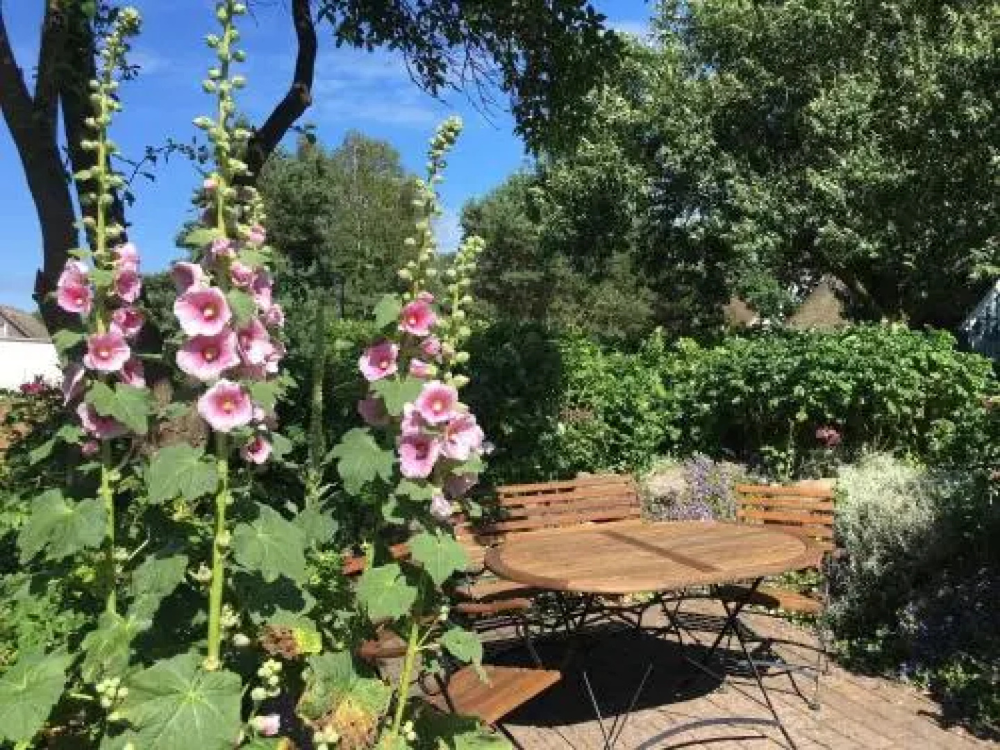 Am Trommelplatz - Ferienwohnung 3 - [#66229]