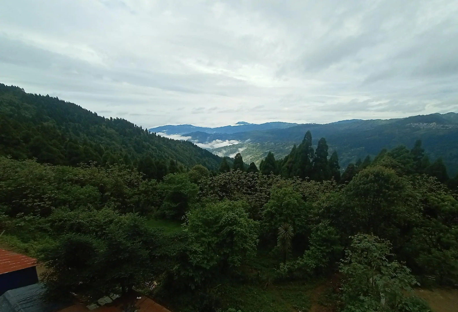 Laxmi Homestay Lepcha Jagat