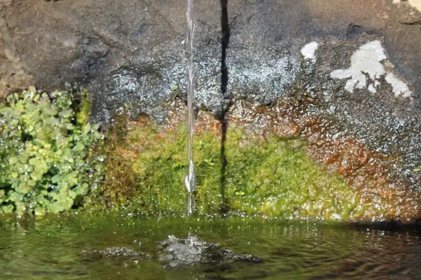 La Casita Alpujarreña