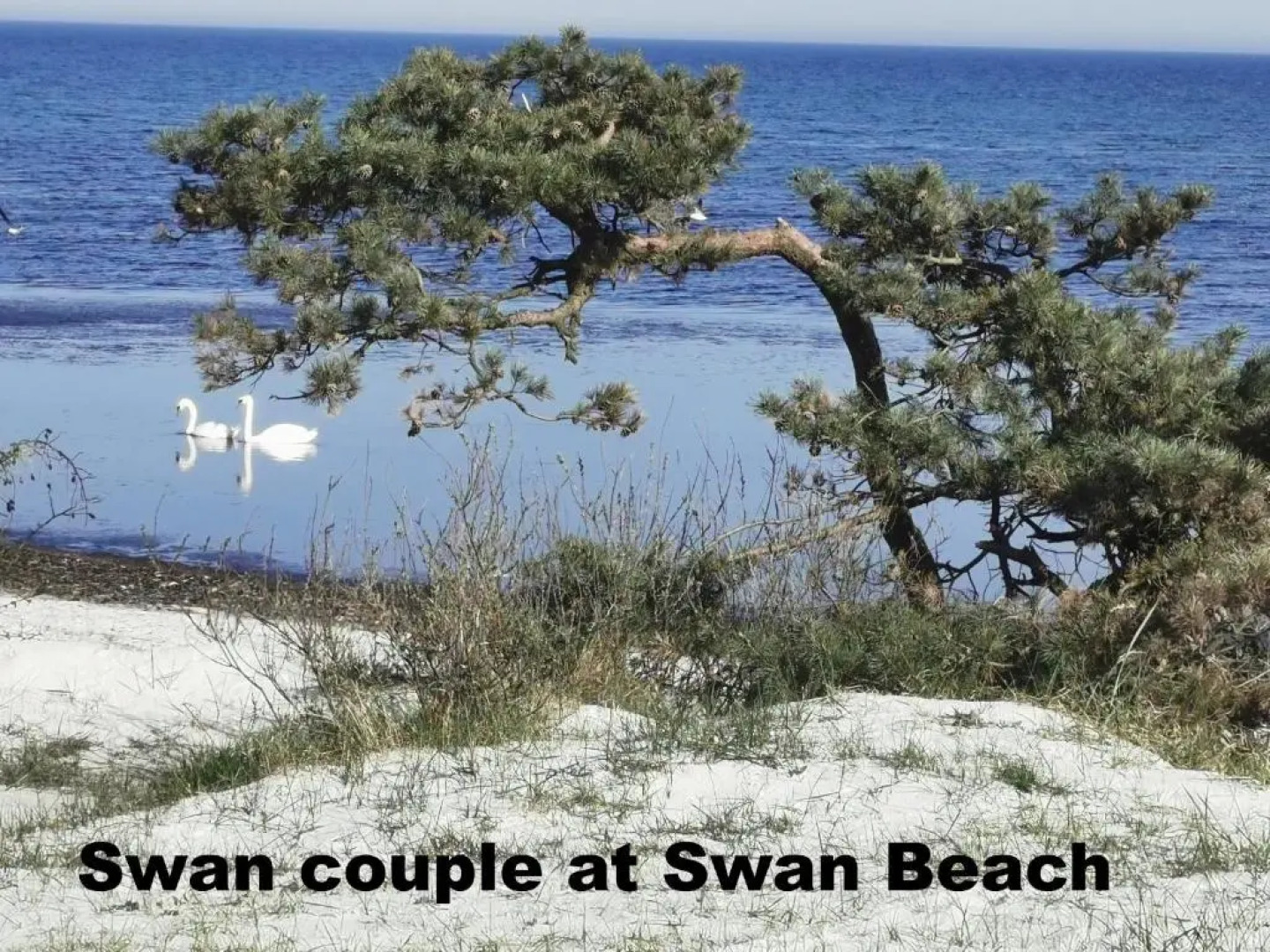 The 'Loft' Apartment- "Den Gule Svane" Guest House - near Rønne & Beach