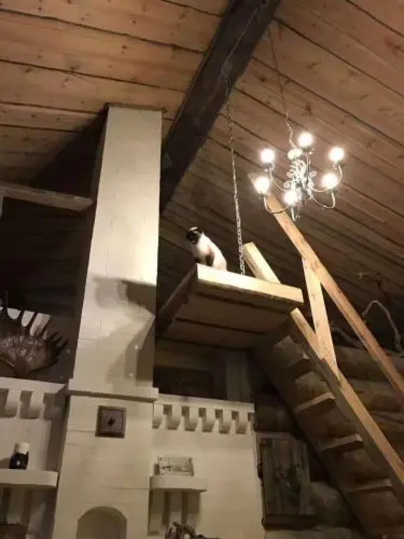 Сияние Севера