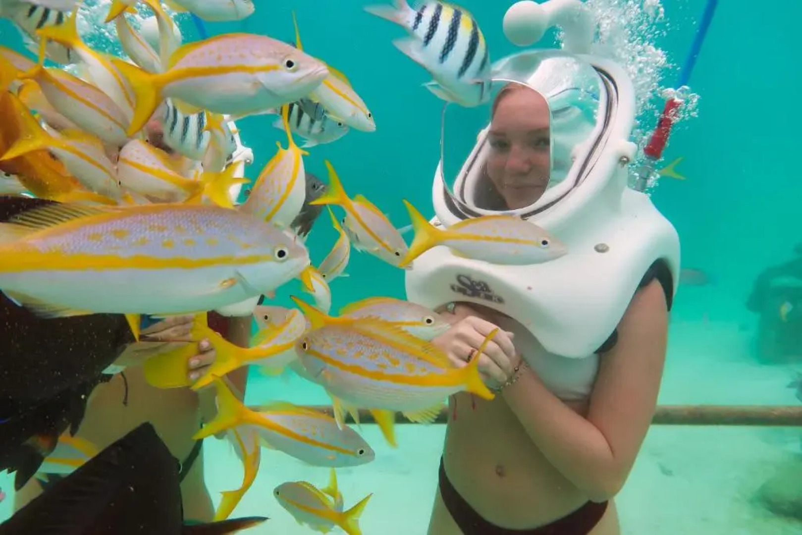 LG Smith Boulevard 558