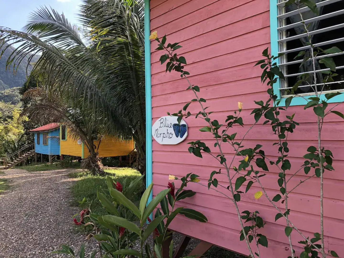 Toucan Ridge Ecology & Education Society T.R.E.E.S.