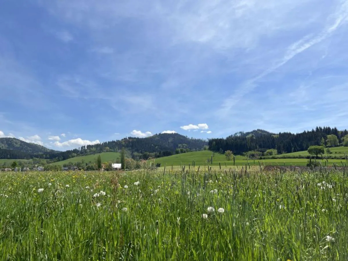Apartment Freiburg Kirchzarten