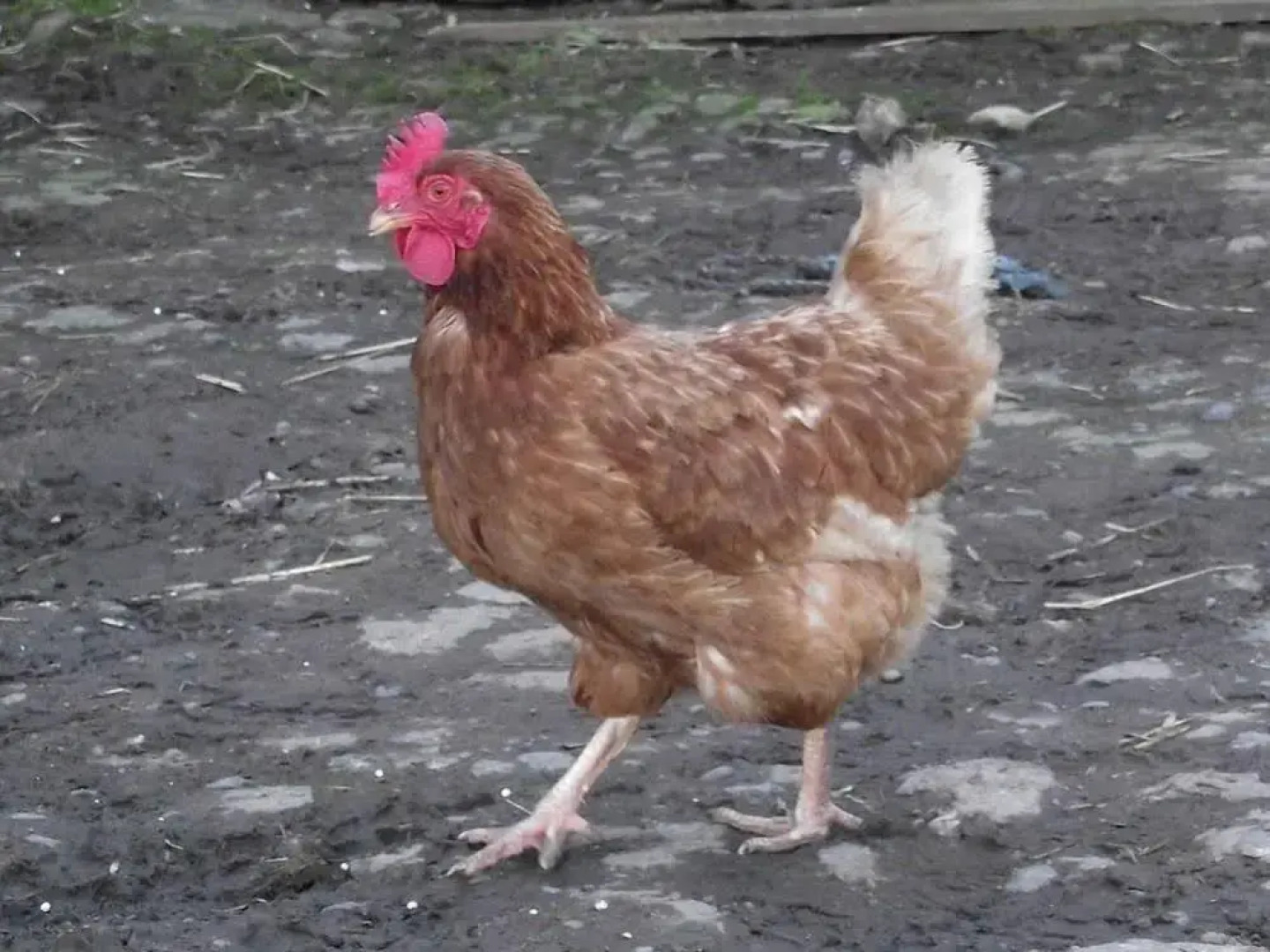 Broomhills Farm River Eco Pods