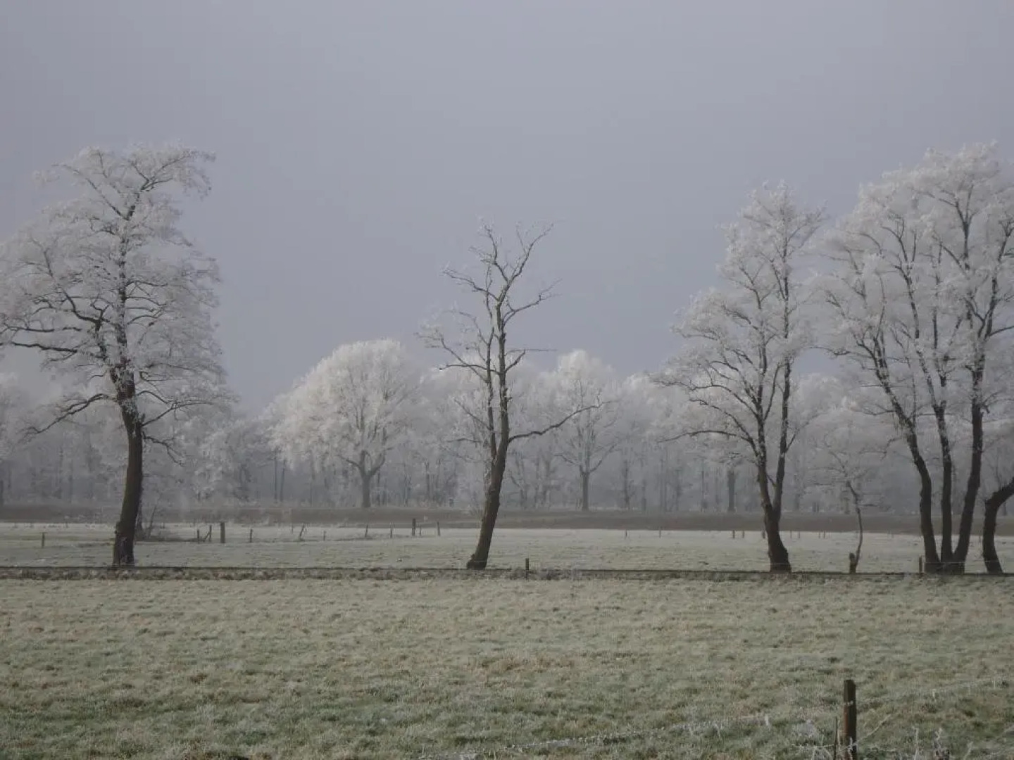 Bed & Breakfast El Manso