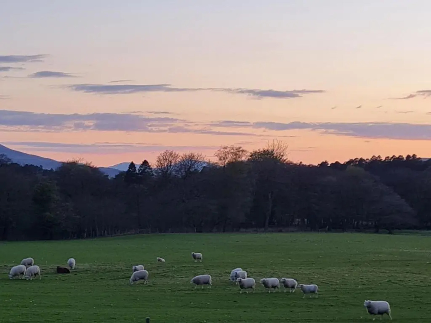 North Face Dwelling at Ardenvale