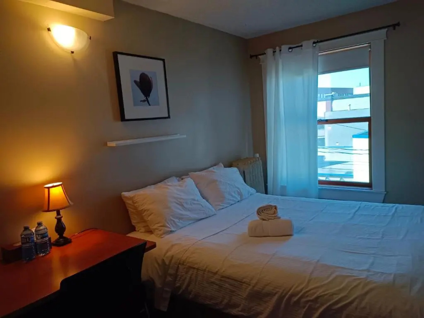 Painted Turtle Guesthouse (Hostel)