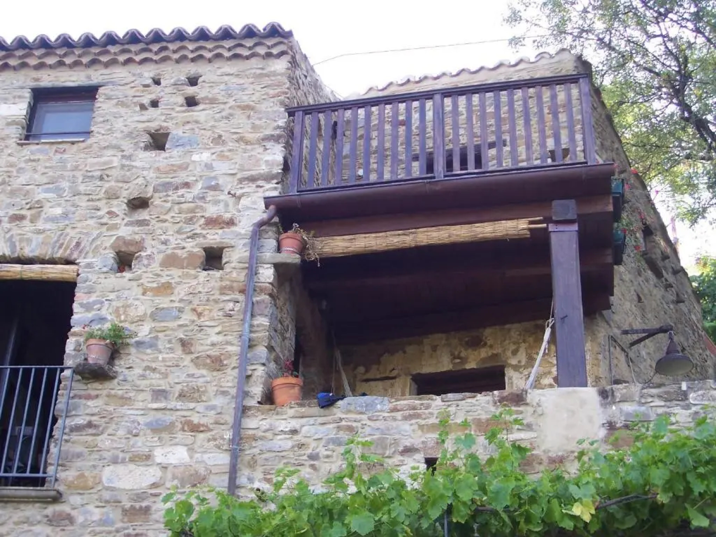 Il Mandorlo