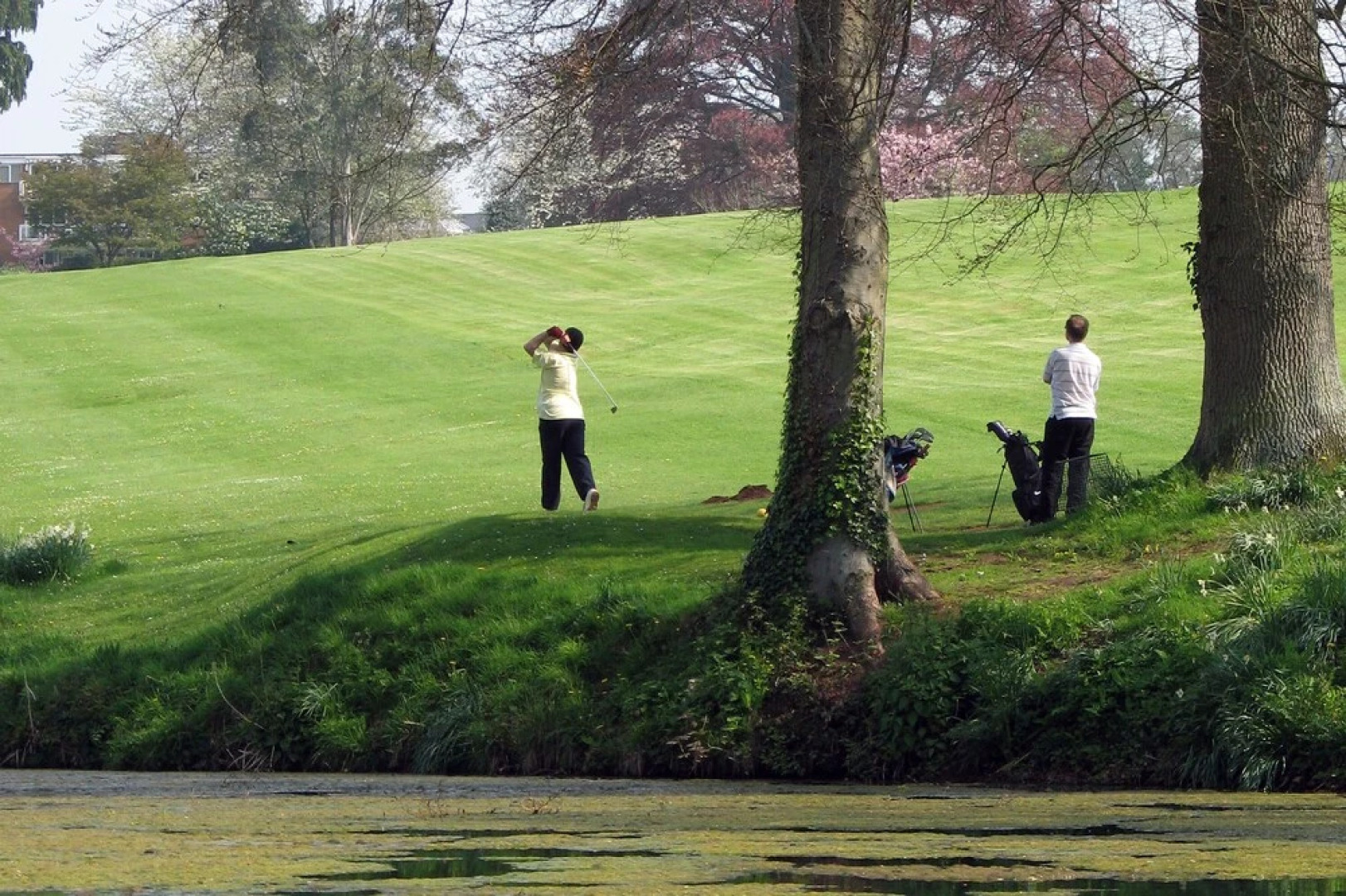 Cedar Falls Health Spa