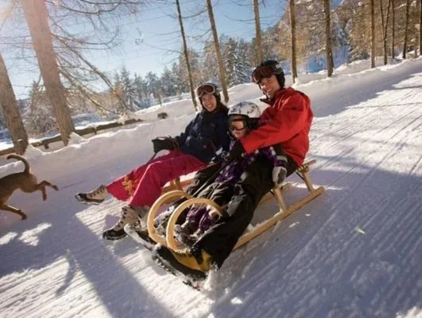 Hotel Appartement Winkler