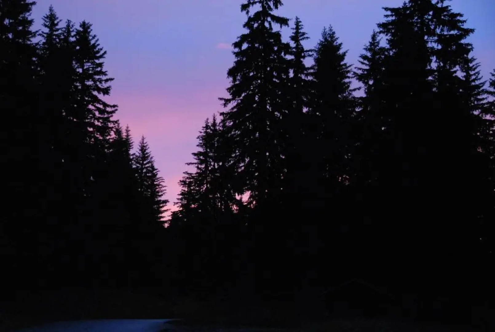 Hôtel Chalet Le Caribou