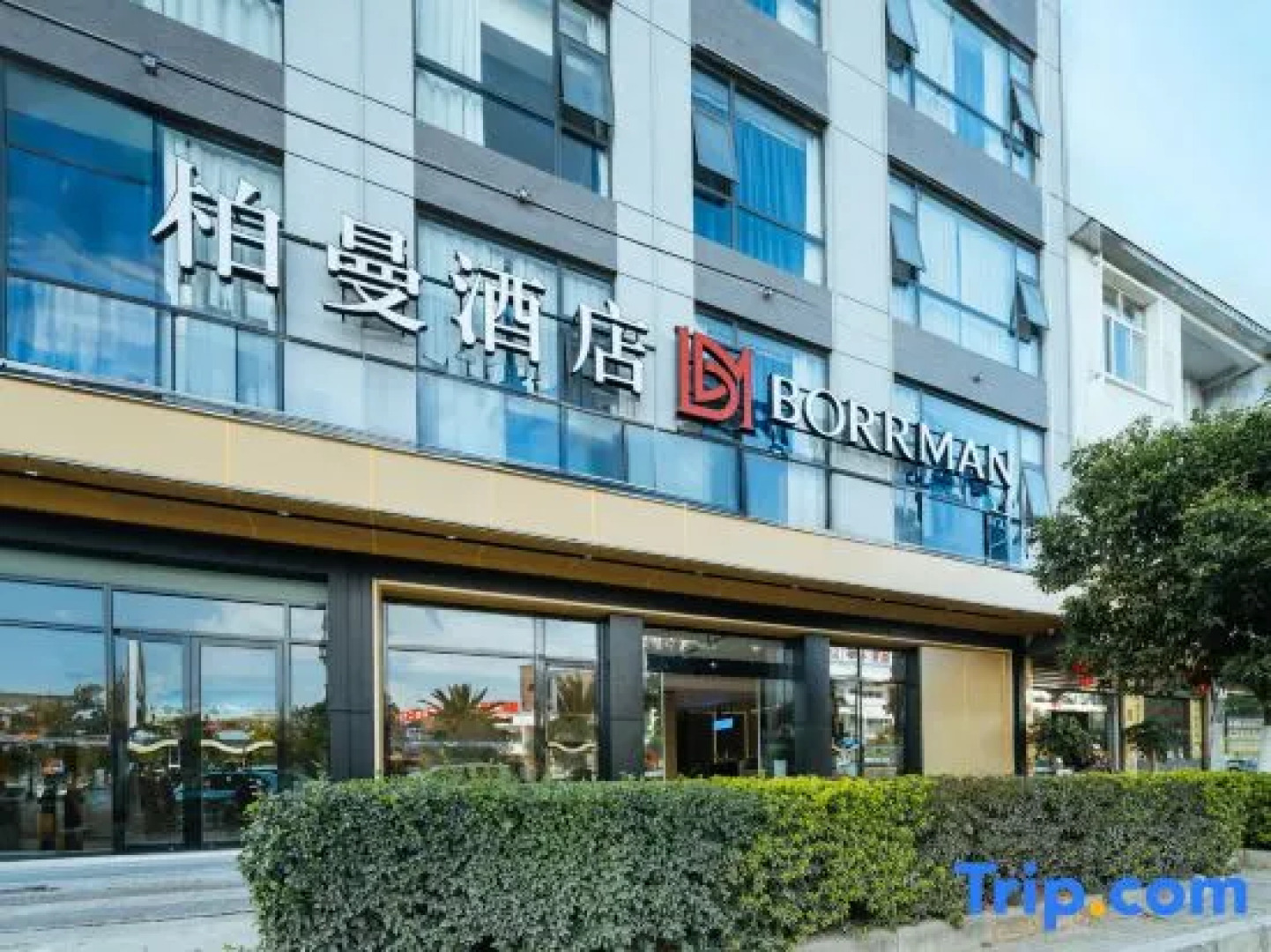 Borrman Hotel (Guangnan)