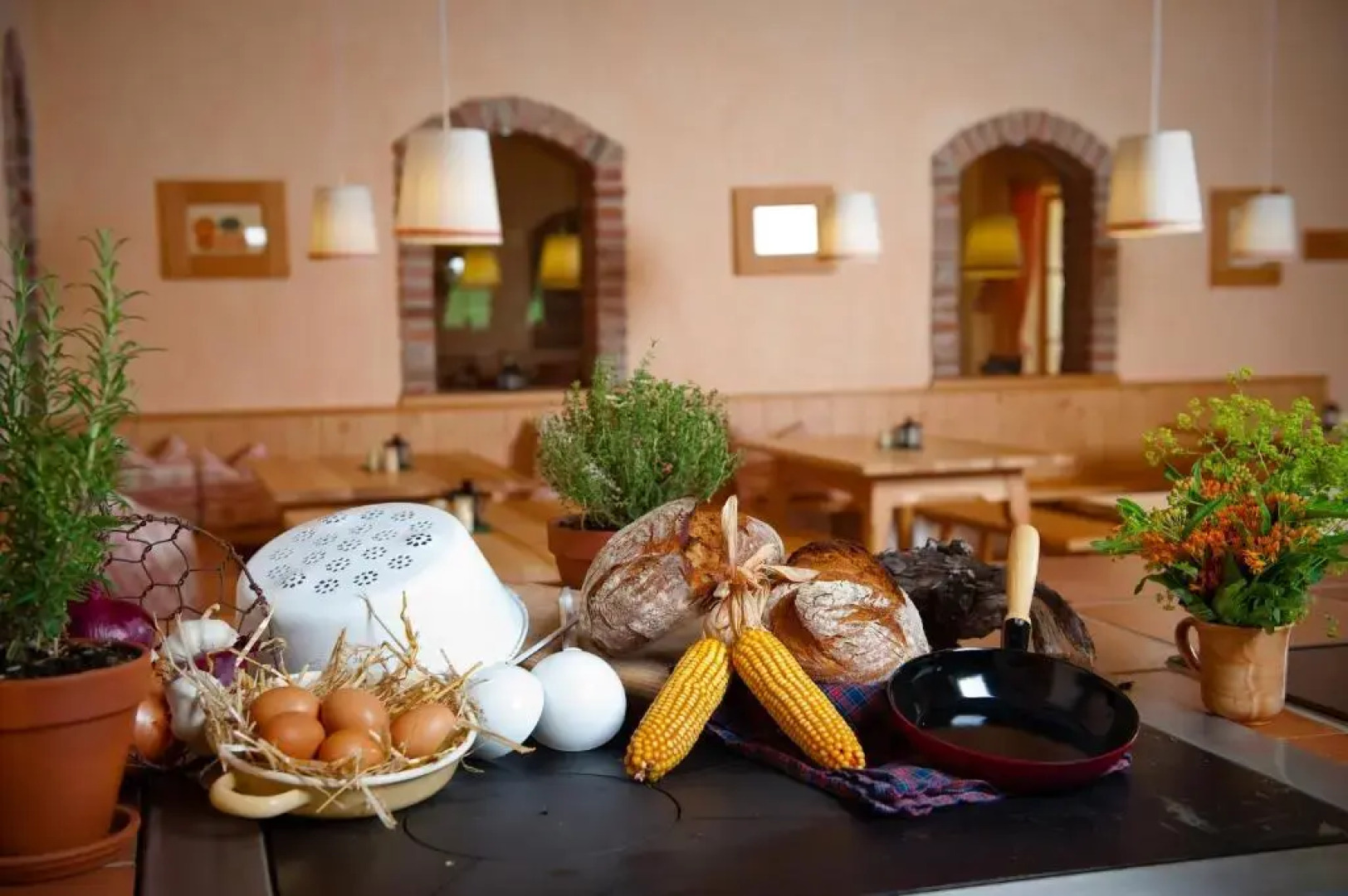 JUFA Hotel Tieschen - Bio Landerlebnis