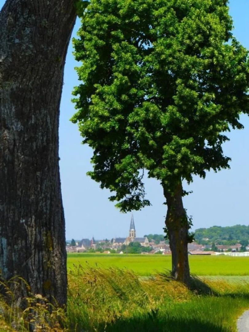 Les Viviers Bed and Breakfast