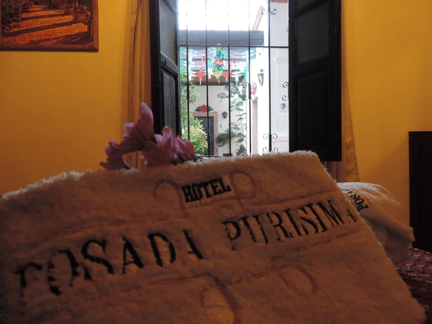 Hotel Posada Purisima