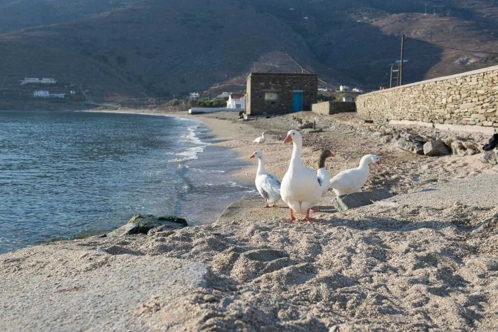 Bright Blue Studio near Stone Tower 1690 • Andros