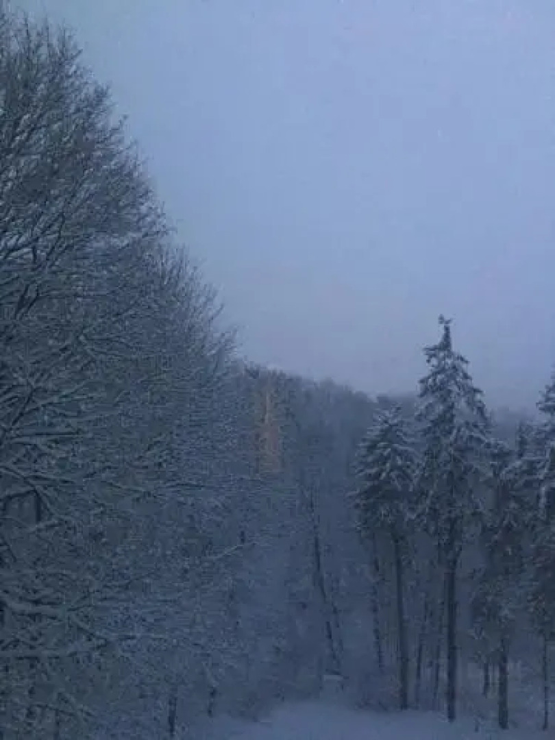 The Renwick Clifton House