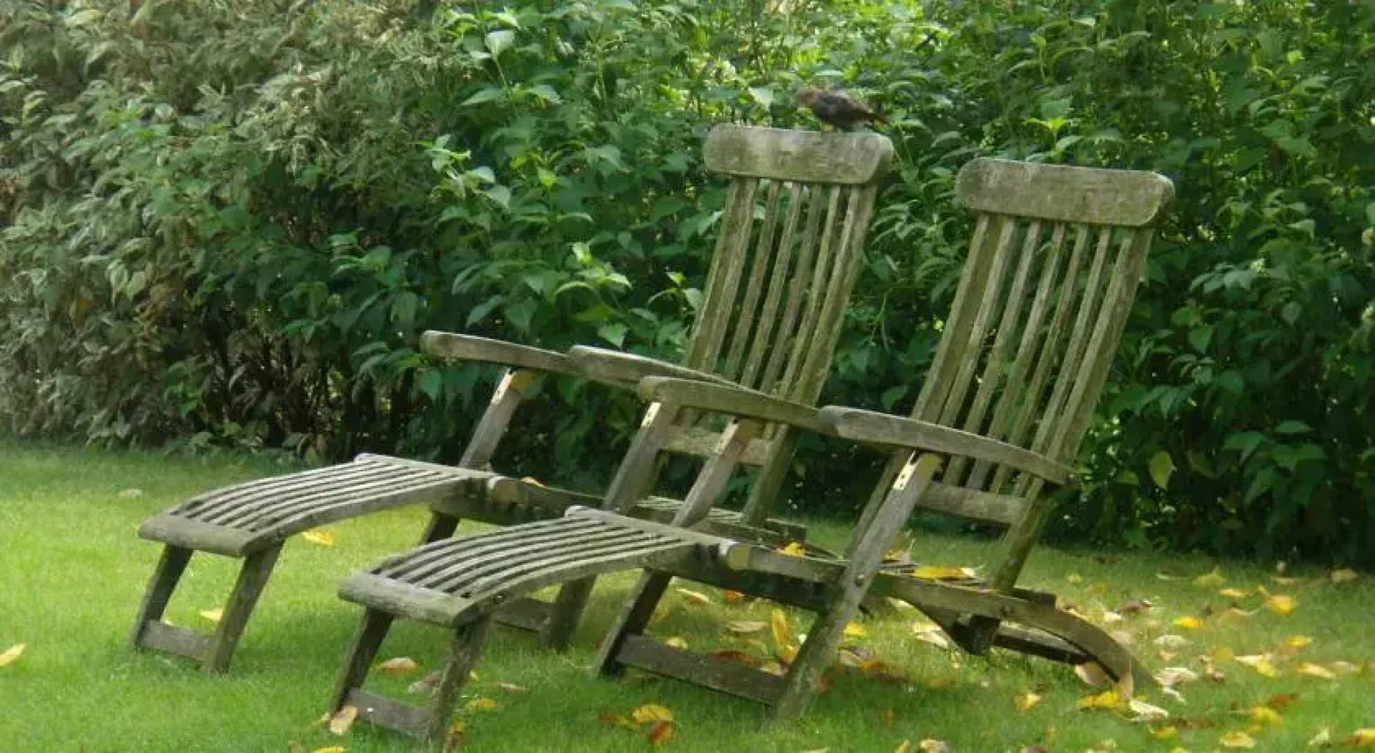 Gartenappartement Ybbs