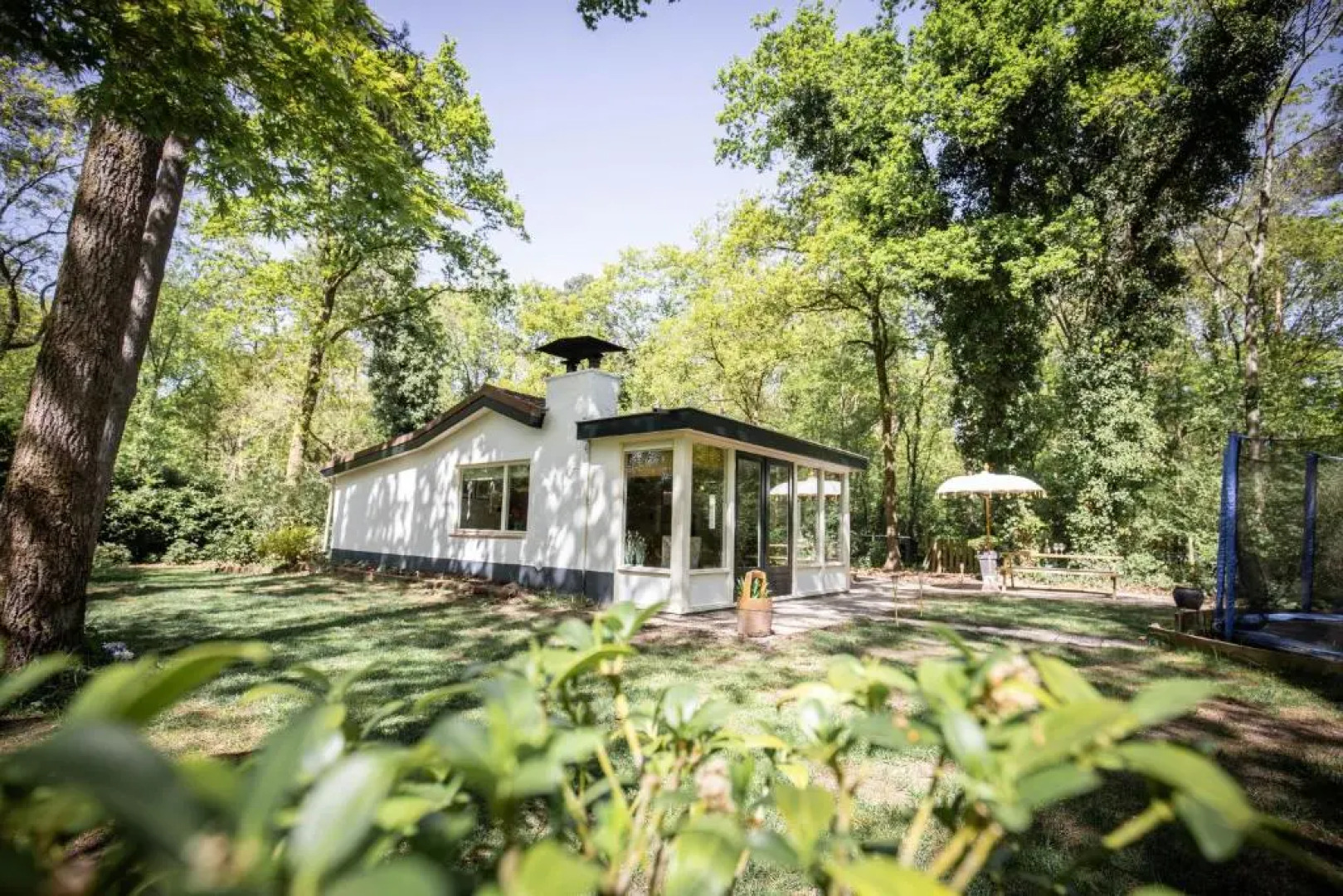 Boshuisje op de Veluwe