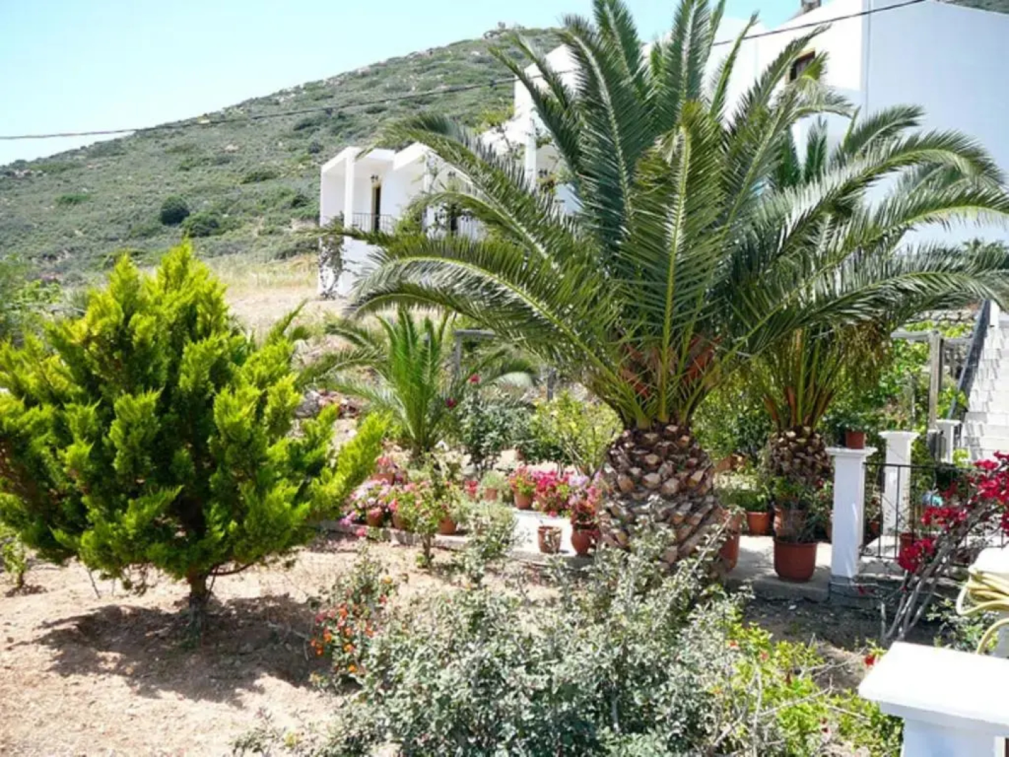 Hotel Porto Potha