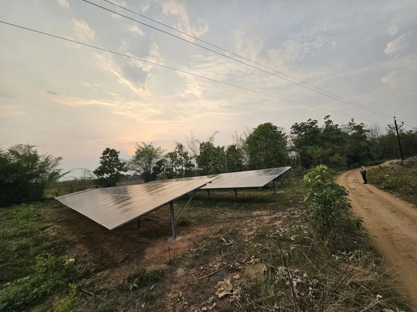 The Celebration Van Vilas