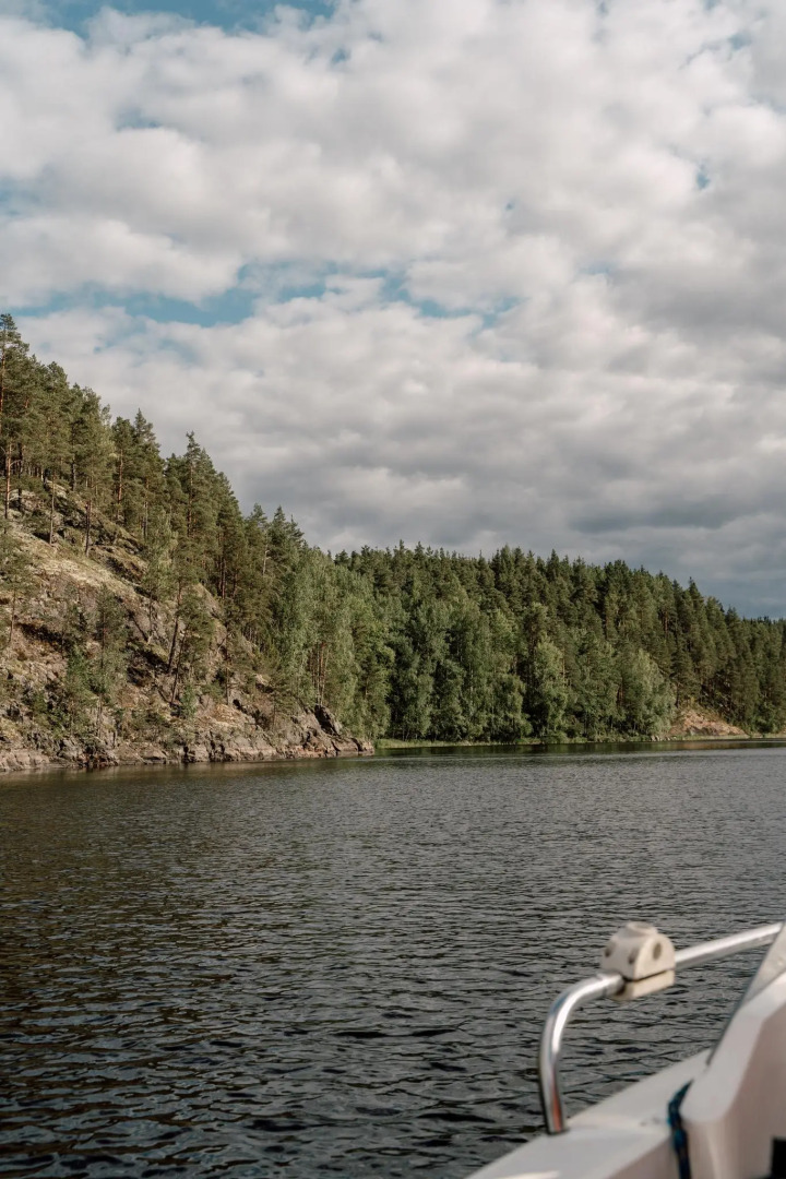 Вили Улей Карелия