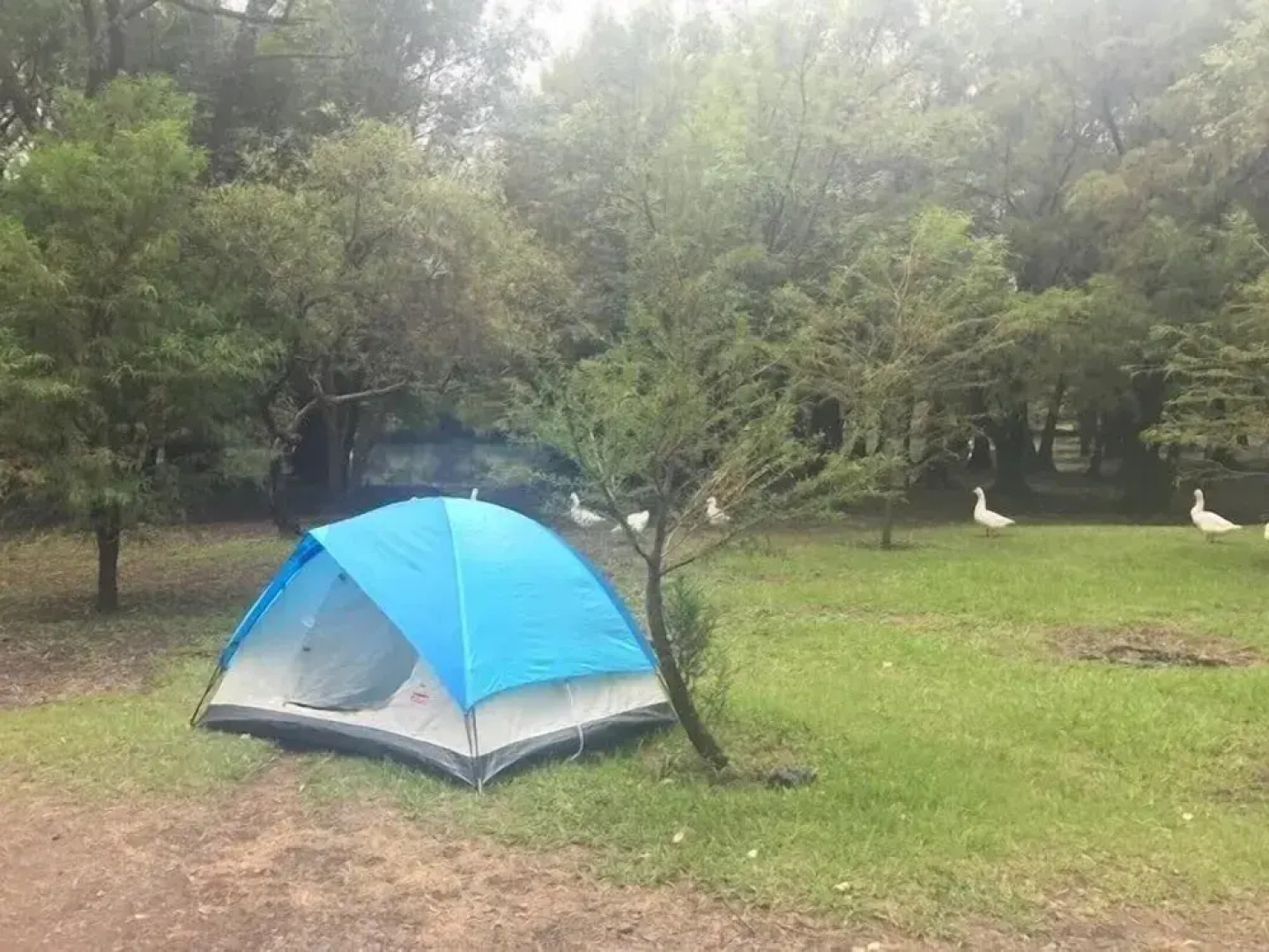 Anaya & Rodriguez Shop - Hostel