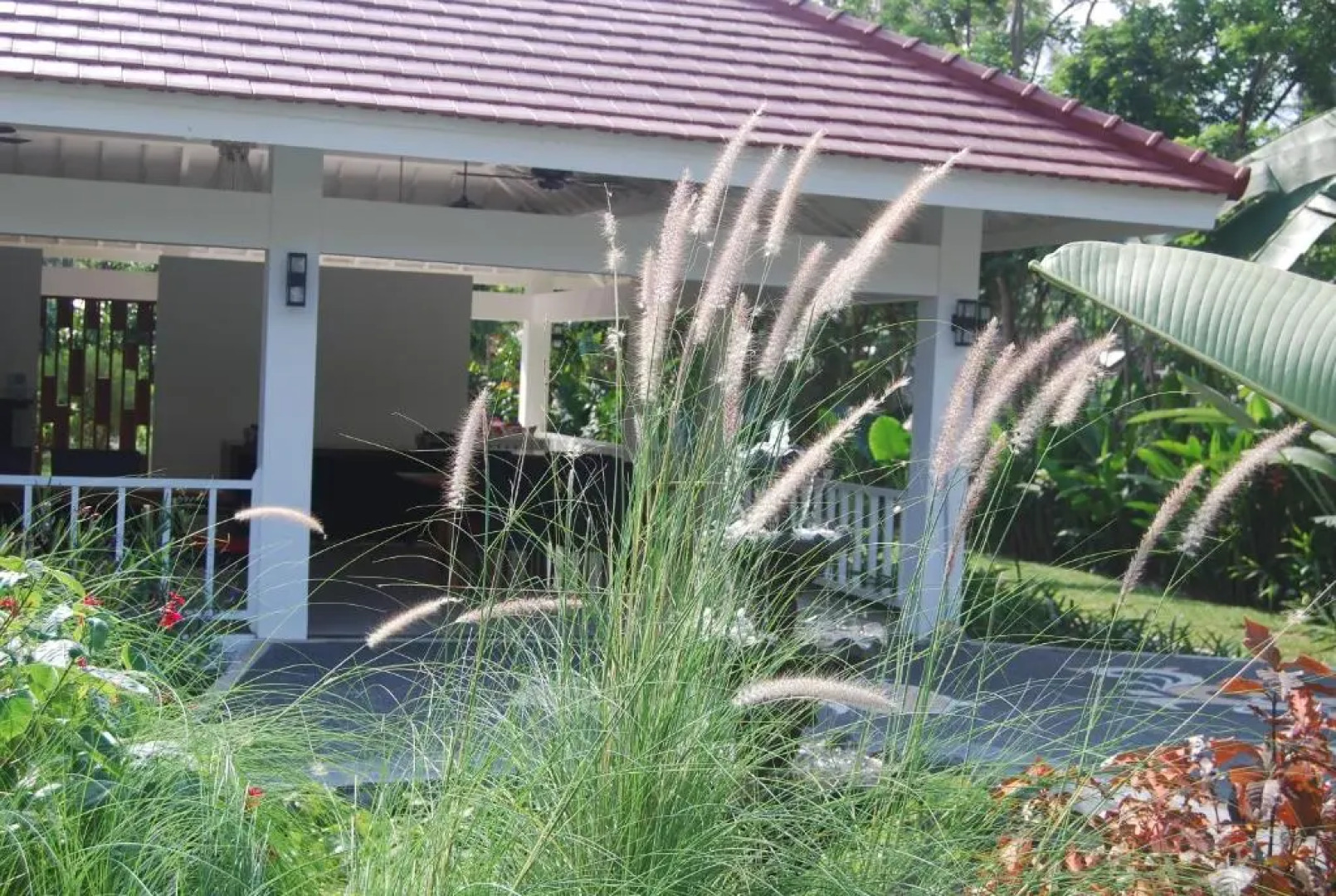 Pondok Anggrek Putih