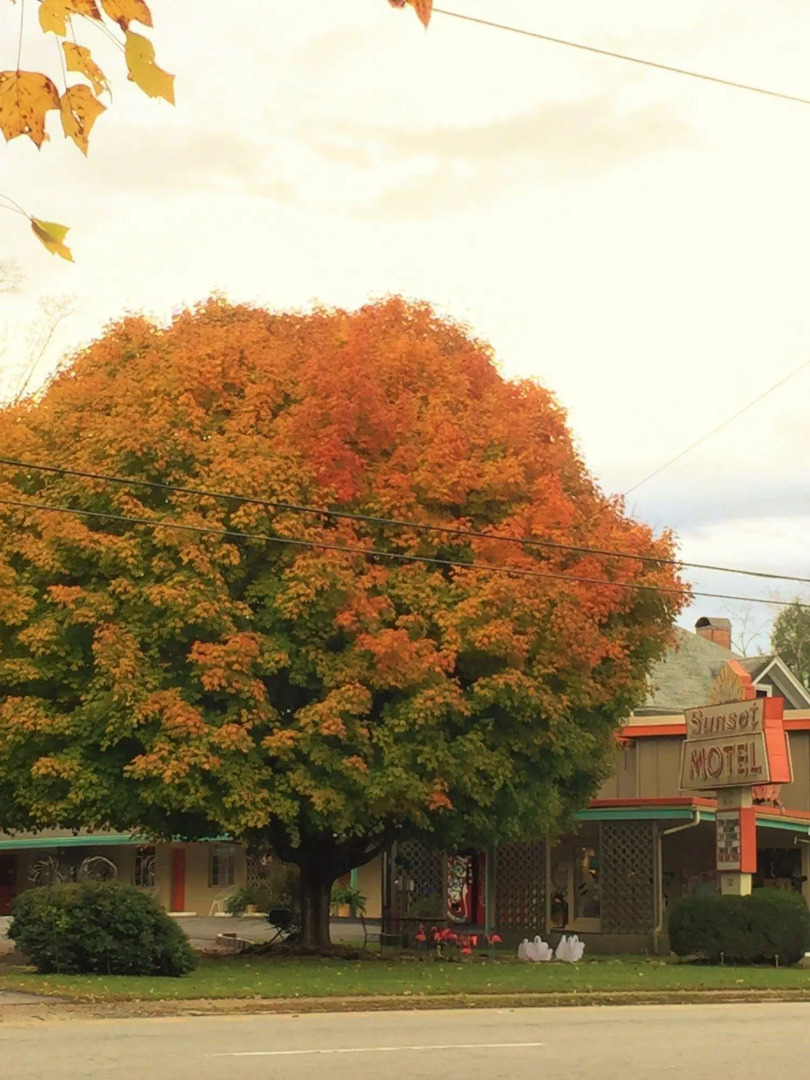 The Sunset Motel