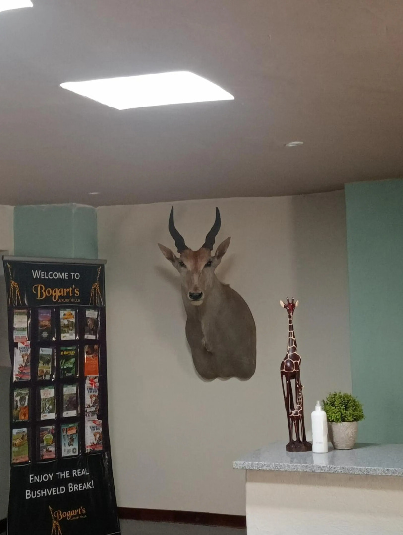 Hazyview Bogarts Villa