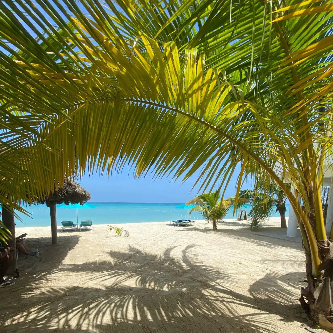 White Sands Negril