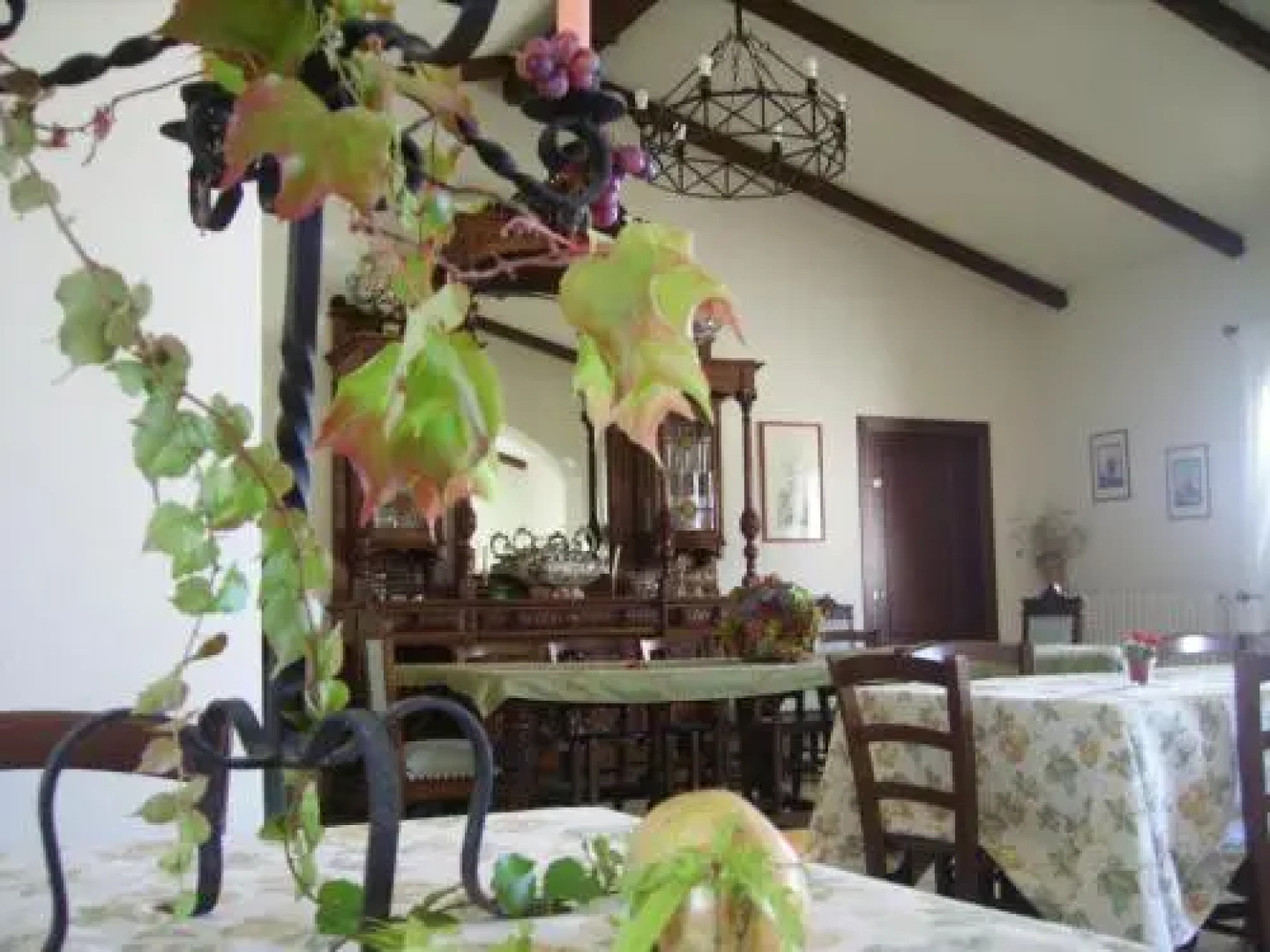 Carrera Della Regina