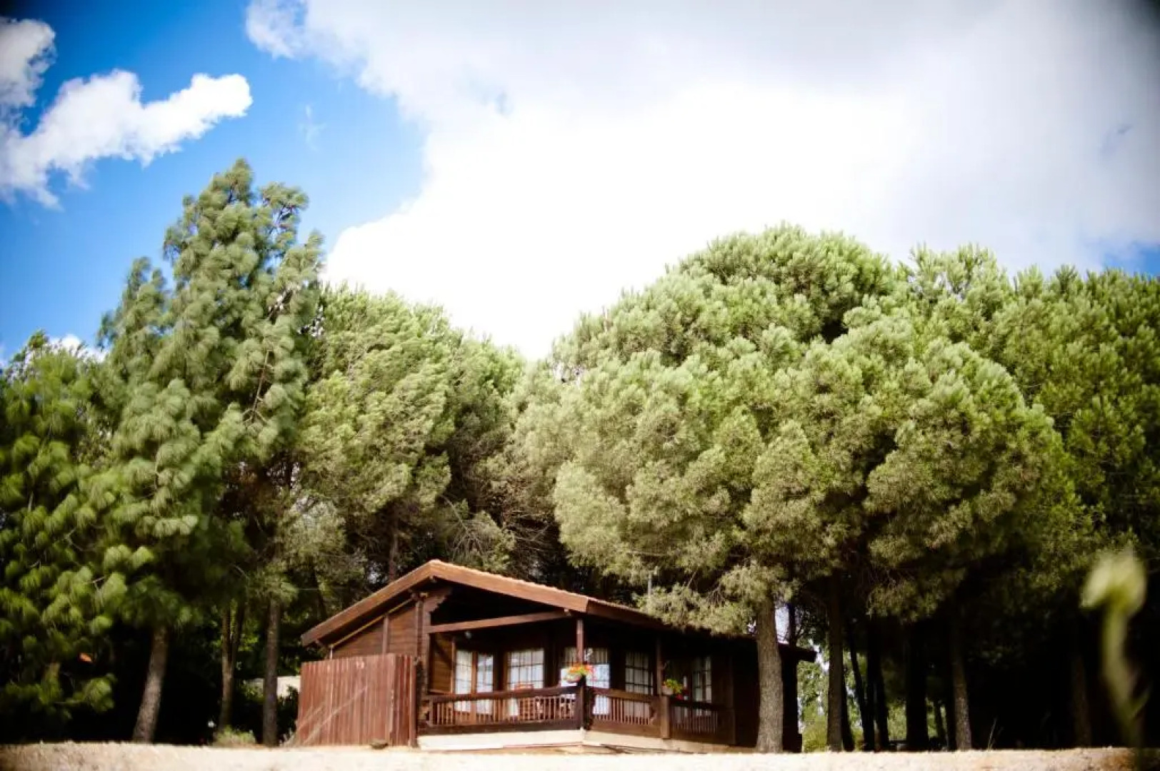 Kibbutz Ortal Tourism