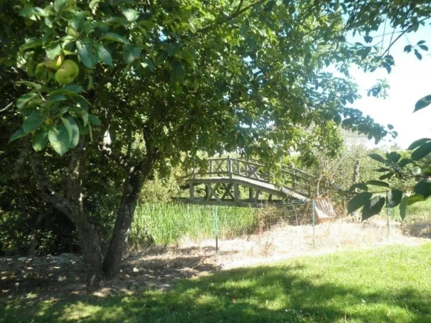 Gîte Cour-Cheverny, 4 pièces, 9 personnes - FR-1-491-220