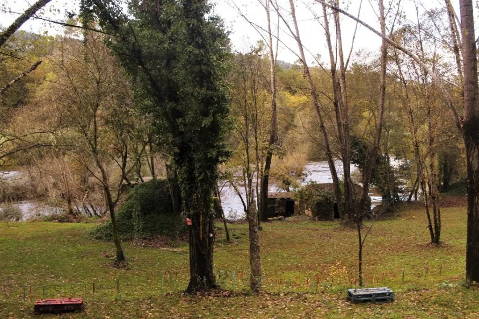 5ª d'azenha - River and Nature