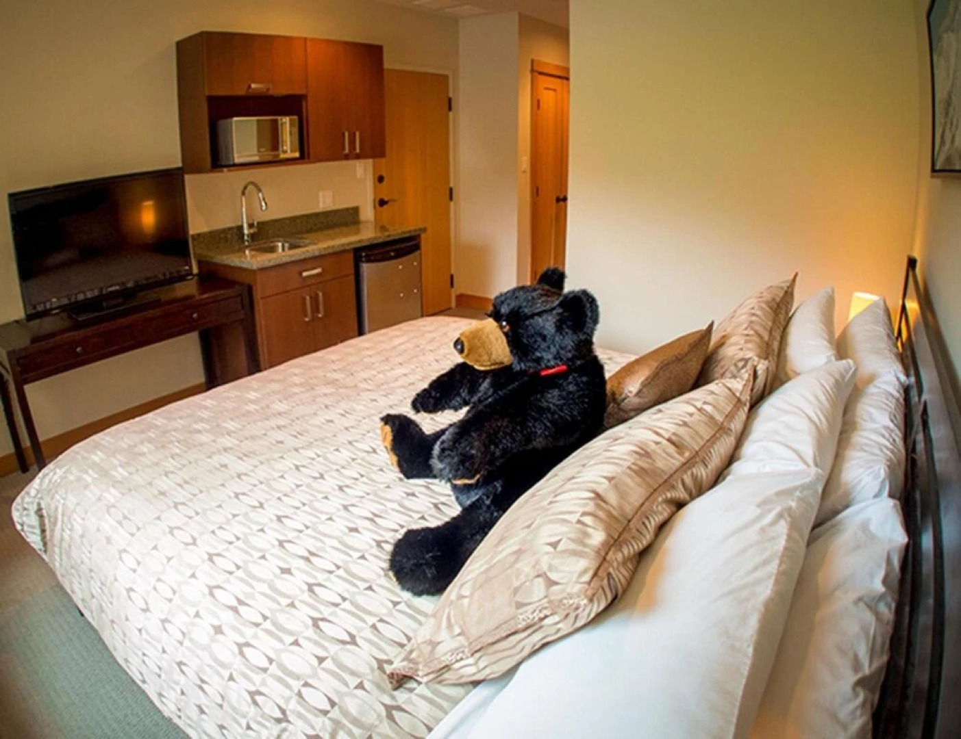 Kookaburra Lodge #302 By Bear Country