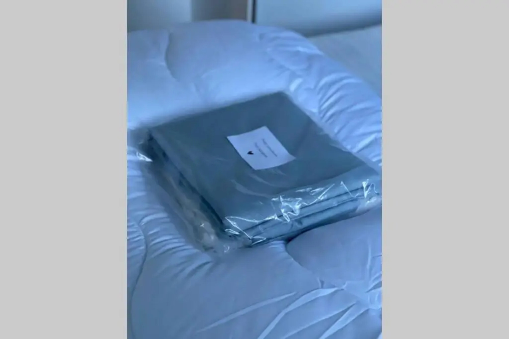 Modern rustgevend chalet in Putten 131