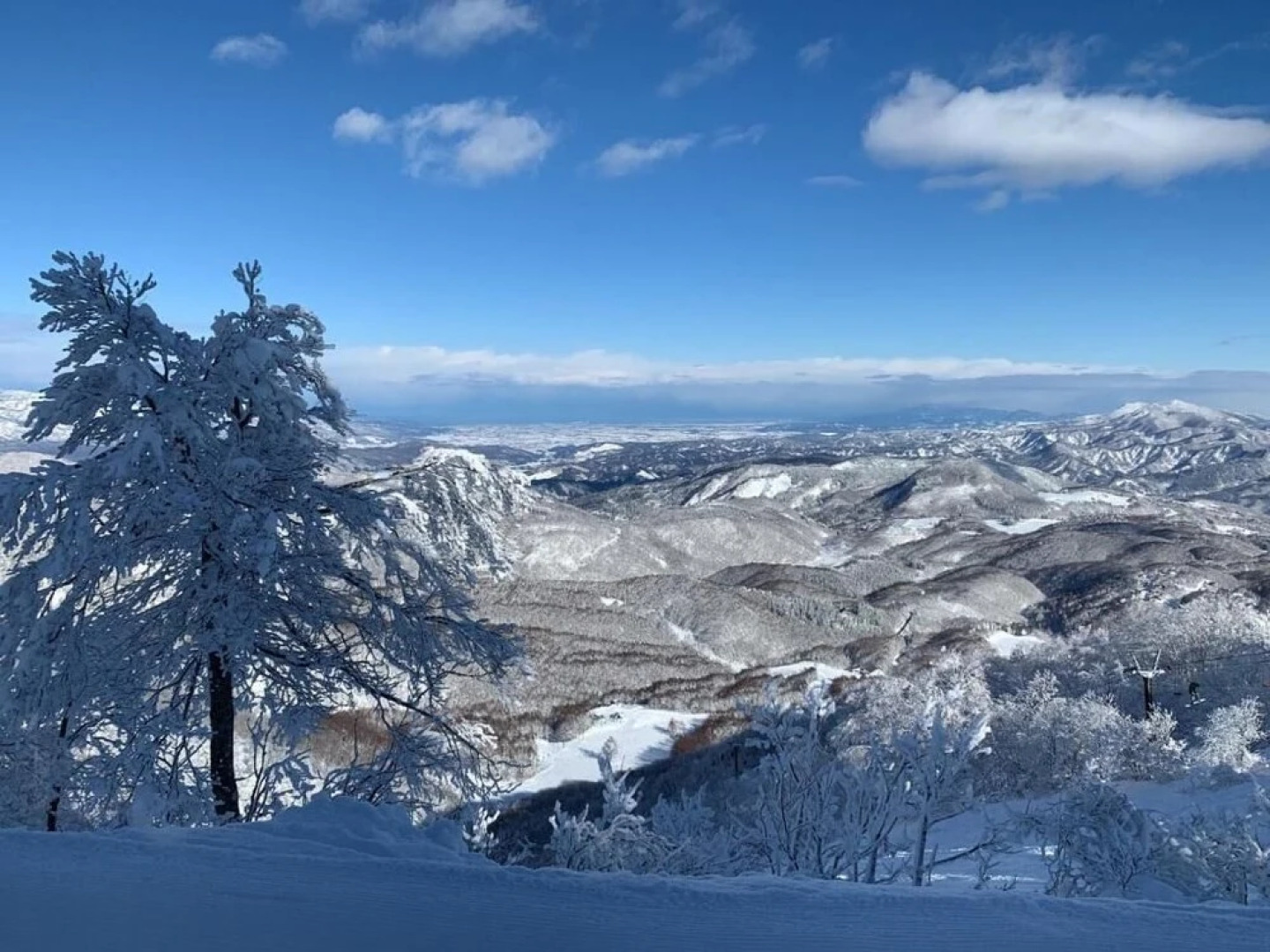 Restmance Pension Woody Hill