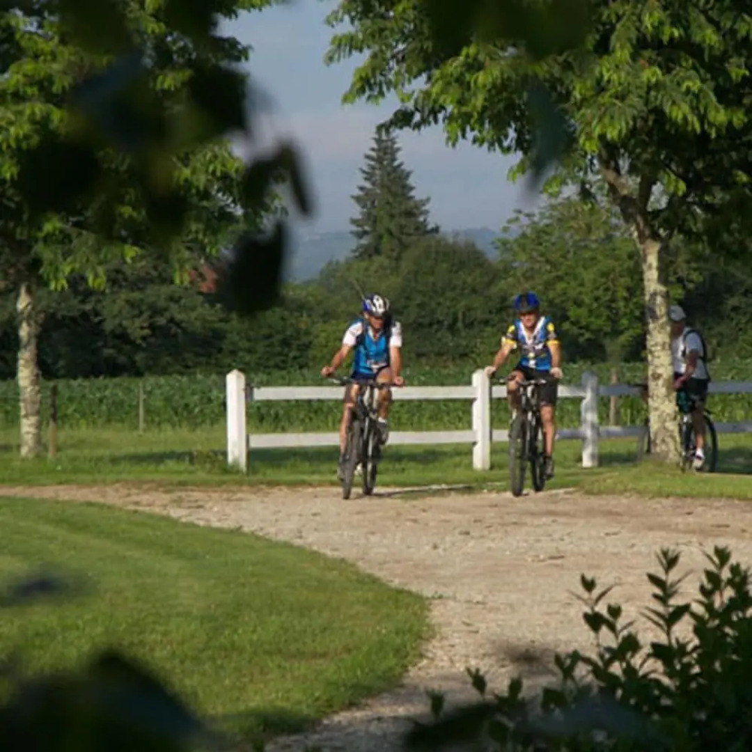 Domaine de Borie Chambres d'Hôtes