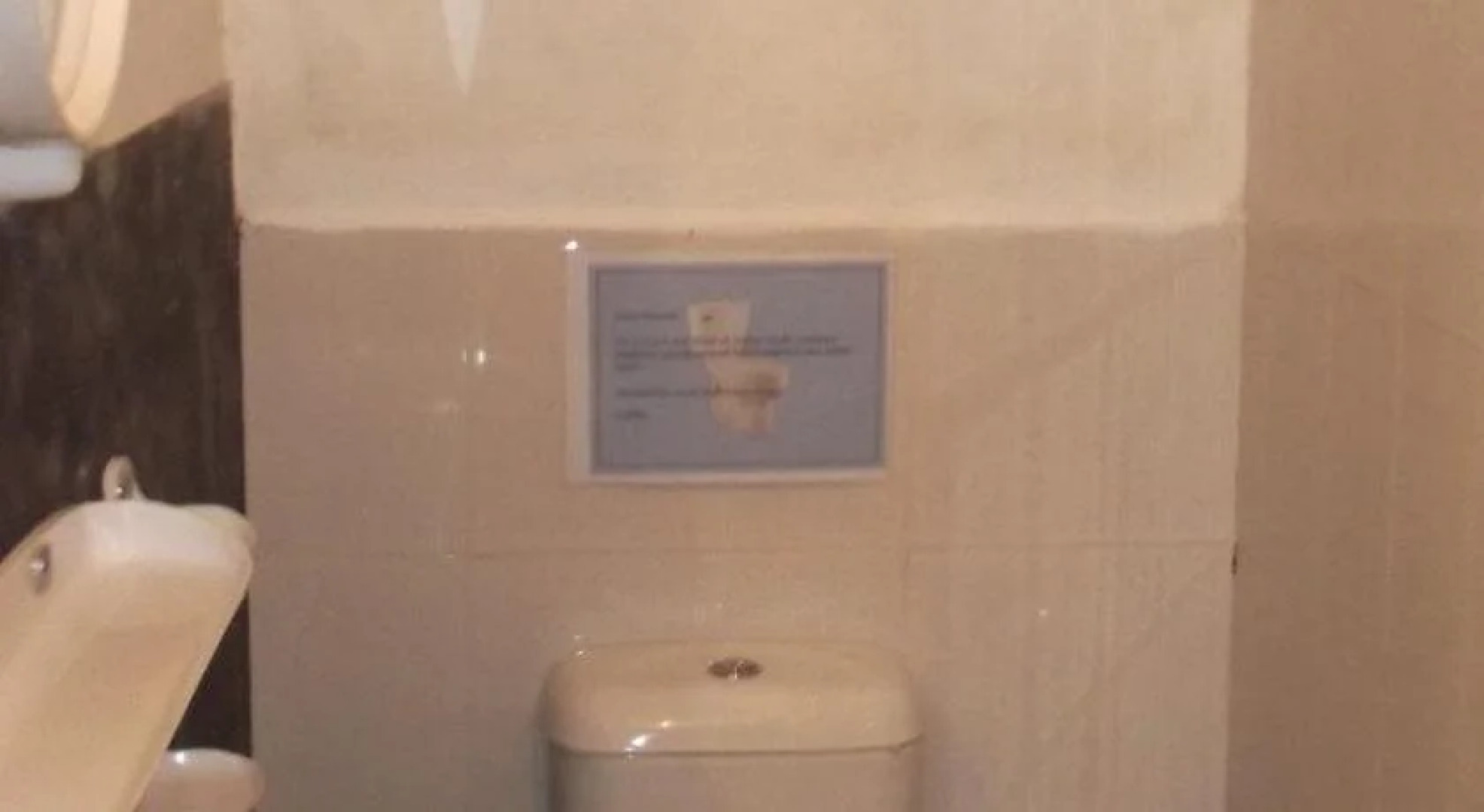 Shoba Traveller's Tree - Galle Fort