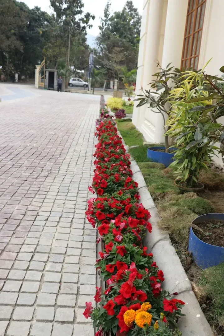 ROYALE de' CASA RESORT KAZIRANGA