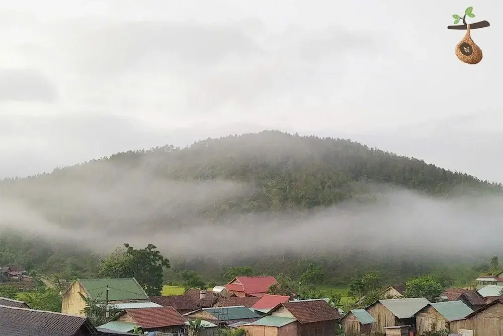 To Chim Ri Homestay Mang Đen